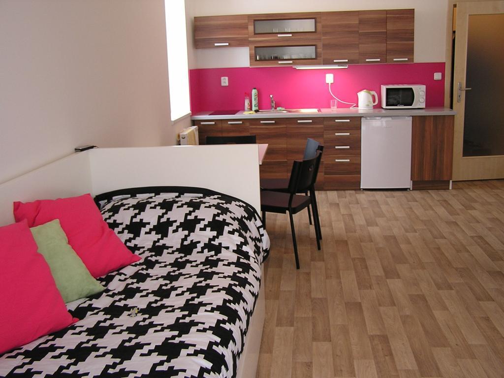 Apartment Třeboň Quarto foto